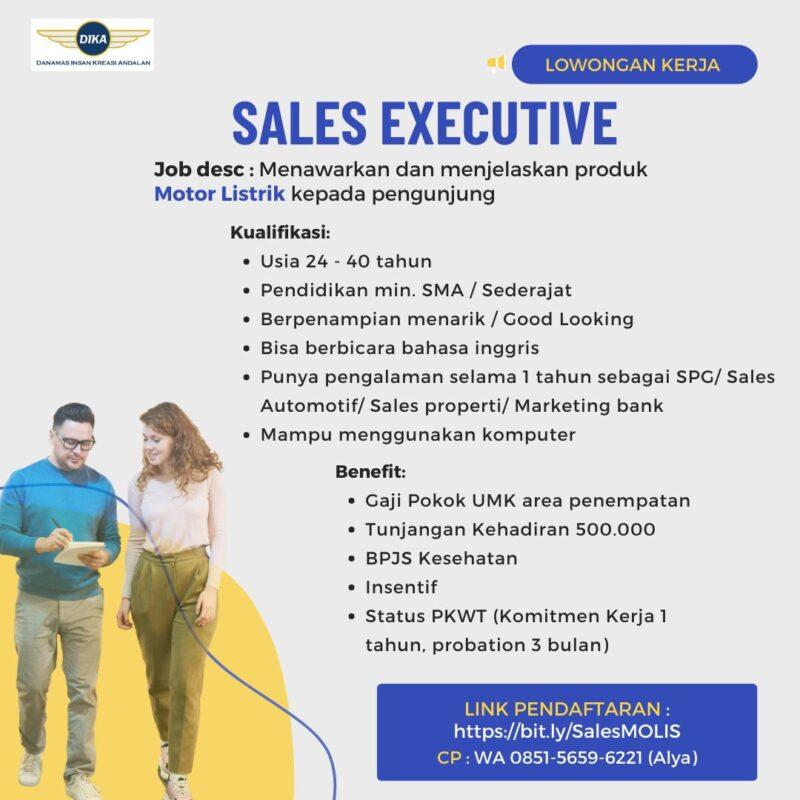 Lowongan Kerja Sales Executive Di PT. Danamas Insan Kreasi Andalan ...