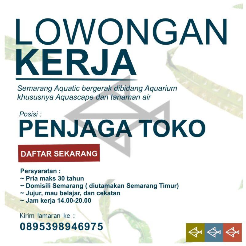 Lowongan Kerja Penjaga Toko Di Semarang Aquatic Lokersemar Id