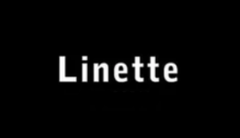 Lowongan Kerja Admin Online/Offline Shop di Linette Bags - Semarang