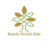 Lowongan Kerja Finance & Administration Supervisor di PT. Randu World Hub